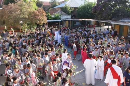 Bendición de ramitos