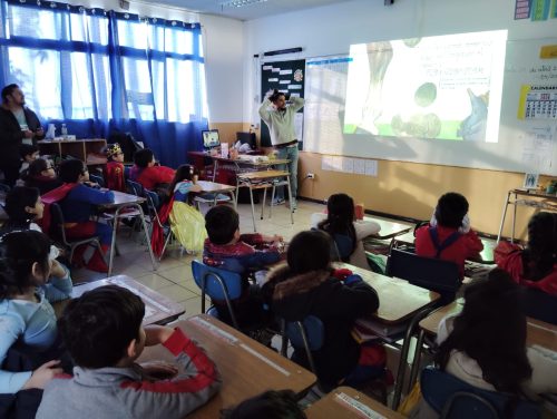 Día del  Libro, San Marcos 2024