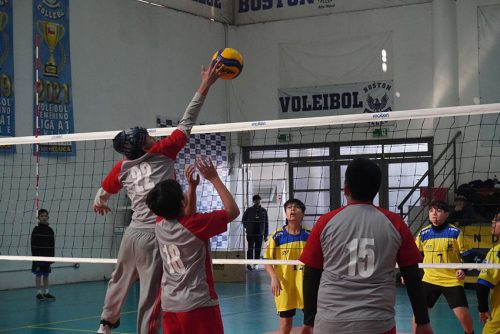 Vóleibol Mini Varones – Olimpiadas BostonEduca 2024