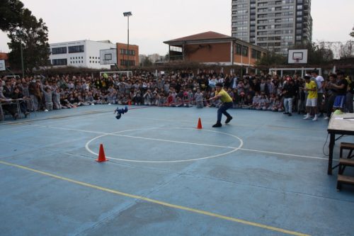 ALIANZAS  2024 “ARGENTINA  V/S BRASIL”