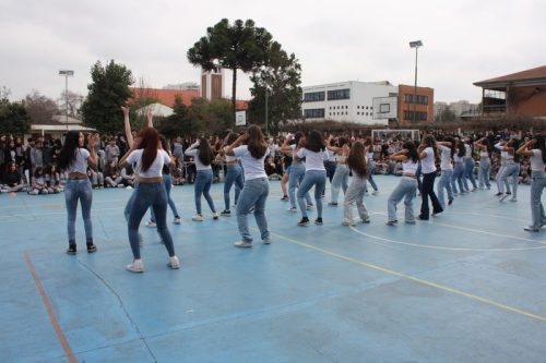 ALIANZAS  2024 “ARGENTINA  V/S BRASIL”