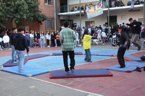 Alianzas  2024: Miércoles  24/07