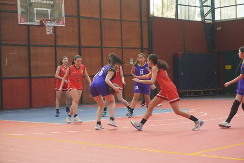 Básquetbol Intermedia Damas – Olimpiadas BostonEduca 2024