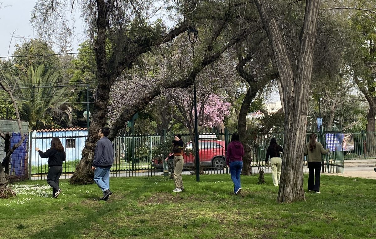 Eje San Marcos hace un gran gesto por la naturaleza