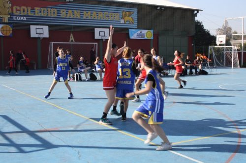 Campeonato  Boston  Educa Básquetbol  Damas