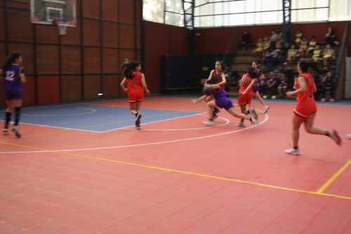 Campeonato  Boston  Educa Básquetbol  Damas