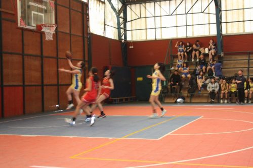 Campeonato  Boston  Educa Básquetbol  Damas