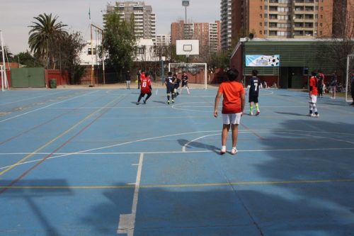 Campeonato  de Baby  Fútbol  5°  y 6°