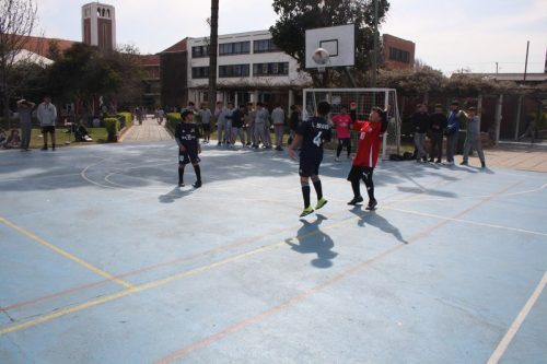 Campeonato  de Baby  Fútbol  5°  y 6°