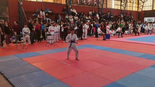 TORNEO DE  KARATE “COPA SAN MARCOS   2024”