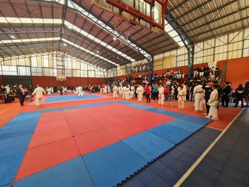 TORNEO DE  KARATE “COPA SAN MARCOS   2024”