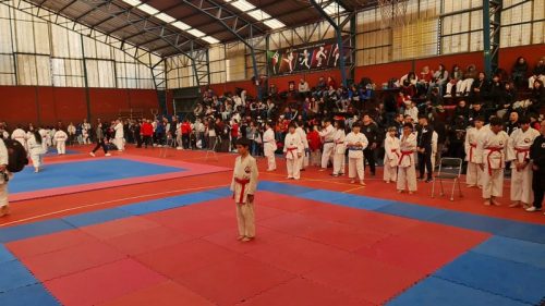 TORNEO DE  KARATE “COPA SAN MARCOS   2024”