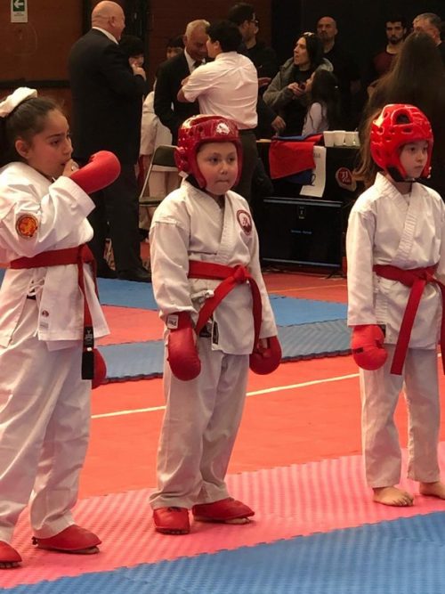 TORNEO DE  KARATE “COPA SAN MARCOS   2024”