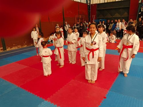 TORNEO DE  KARATE “COPA SAN MARCOS   2024”