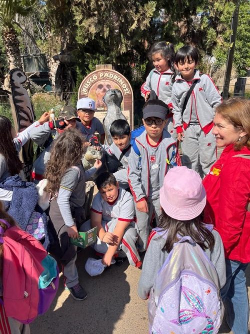 SEGUNDOS  BÁSICOS  VISITAN EL  BUIN ZOO