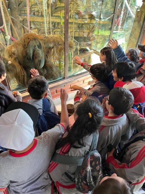 SEGUNDOS  BÁSICOS  VISITAN EL  BUIN ZOO