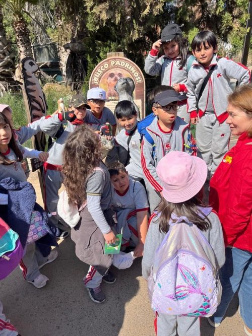 SEGUNDOS  BÁSICOS  VISITAN EL  BUIN ZOO