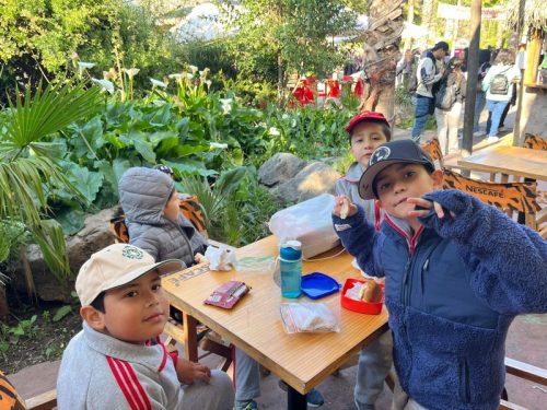 SEGUNDOS  BÁSICOS  VISITAN EL  BUIN ZOO