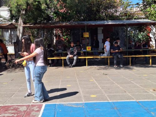 Día  de  las Mascotas