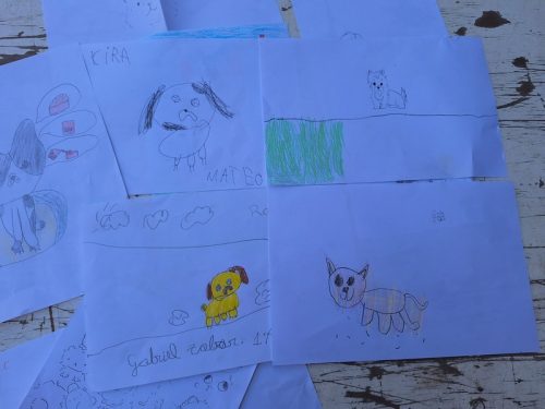 Día  de  las Mascotas