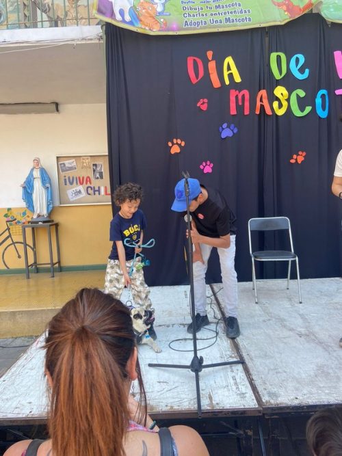 Día  de  las Mascotas