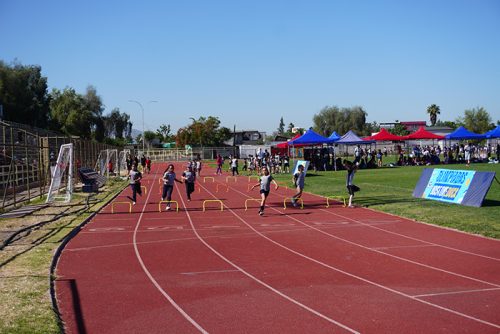 Atletismo 1° a 6° Básico – Olimpiadas BostonEduca 2024