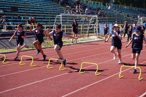 Atletismo 1° a 6° Básico – Olimpiadas BostonEduca 2024