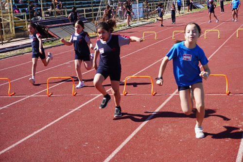 Atletismo 1° a 6° Básico – Olimpiadas BostonEduca 2024