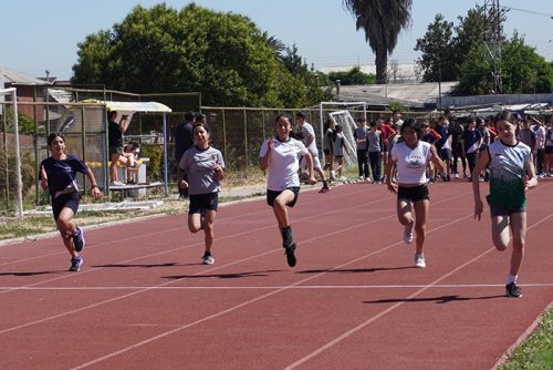 Atletismo 1° a 6° Básico – Olimpiadas BostonEduca 2024