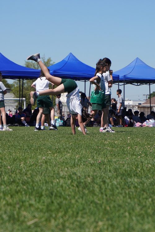 Atletismo 1° a 6° Básico – Olimpiadas BostonEduca 2024