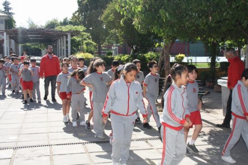 ARTICULACIÓN  DEL PRIMER AL  SEGUNDO CICLO