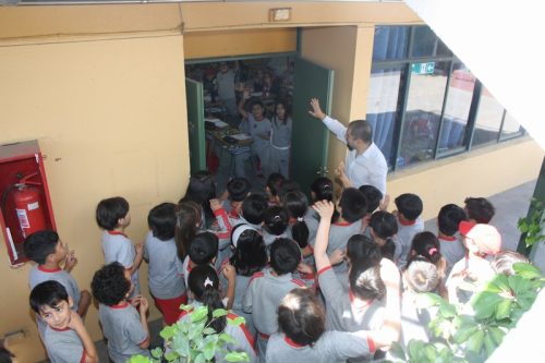 ARTICULACIÓN  DEL PRIMER AL  SEGUNDO CICLO