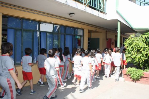 ARTICULACIÓN  DEL PRIMER AL  SEGUNDO CICLO