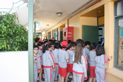 ARTICULACIÓN  DEL PRIMER AL  SEGUNDO CICLO