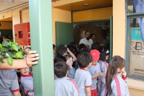 ARTICULACIÓN  DEL PRIMER AL  SEGUNDO CICLO