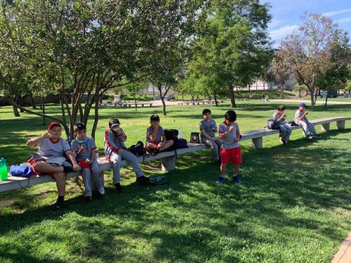 Salida pedagógica Segundos Básicos  al Parque Bicentenario