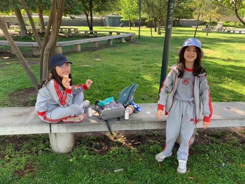 Salida pedagógica Segundos Básicos  al Parque Bicentenario