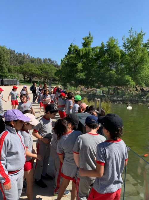 Salida pedagógica Segundos Básicos  al Parque Bicentenario