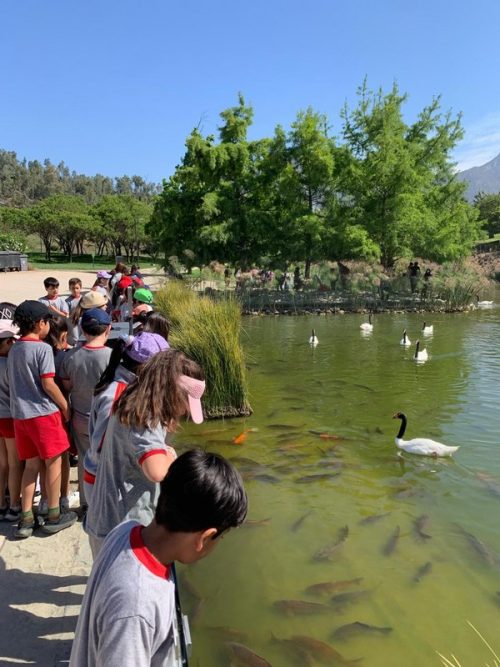 Salida pedagógica Segundos Básicos  al Parque Bicentenario