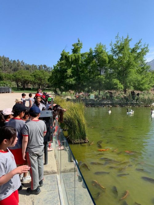 Salida pedagógica Segundos Básicos  al Parque Bicentenario
