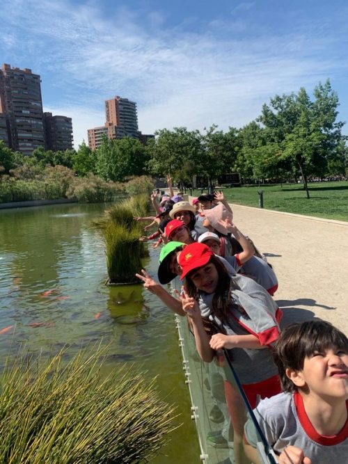 Salida pedagógica Segundos Básicos  al Parque Bicentenario