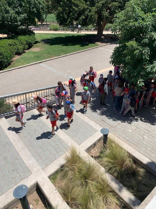Salida pedagógica Segundos Básicos  al Parque Bicentenario