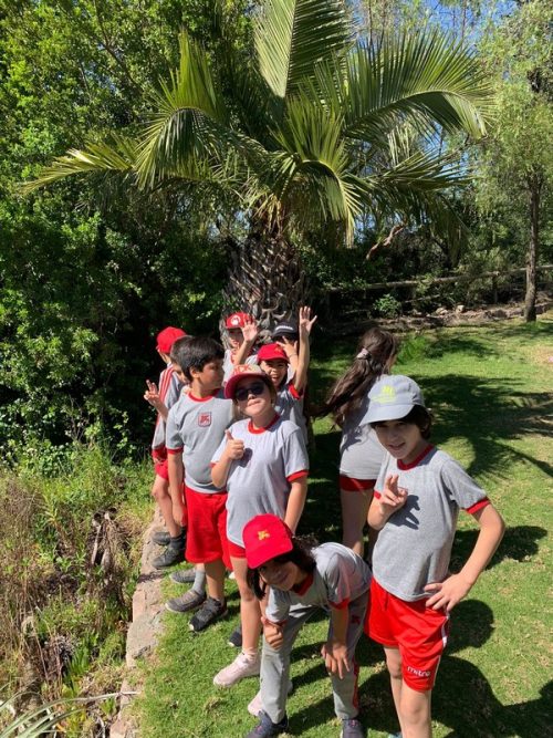 Visita  al Cerro San Cristóbal