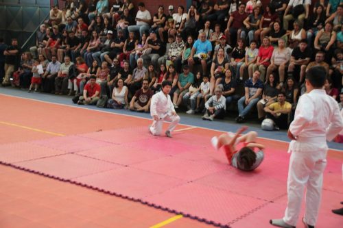 CLAUSURA  DE  TALLERES  DEPORTIVOS Y DE BAILE