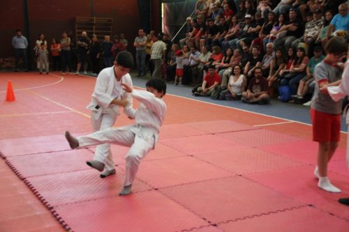 CLAUSURA  DE  TALLERES  DEPORTIVOS Y DE BAILE