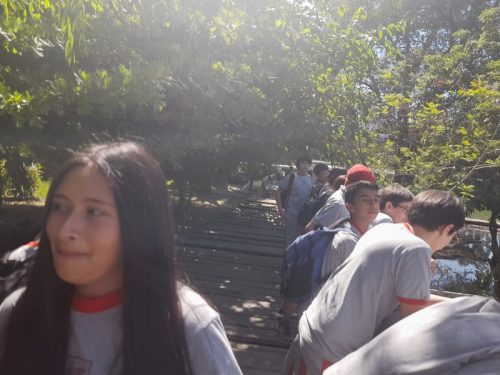 SALIDA  PEDAGÓGICA SÉPTIMOS BÁSICOS