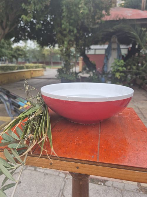 Fiesta de Ramos