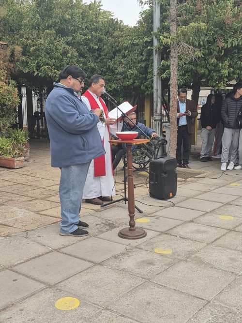 Fiesta de Ramos