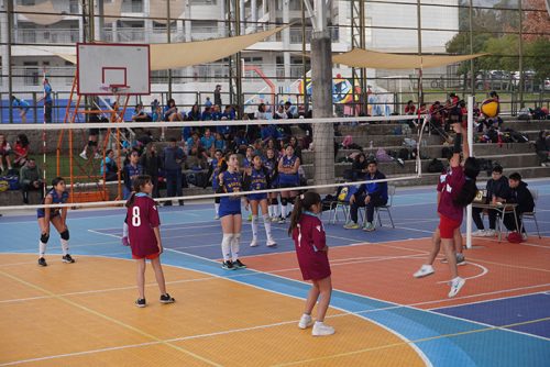 Olimpiadas BostonEduca 2025 – Vóleibol Mini Damas