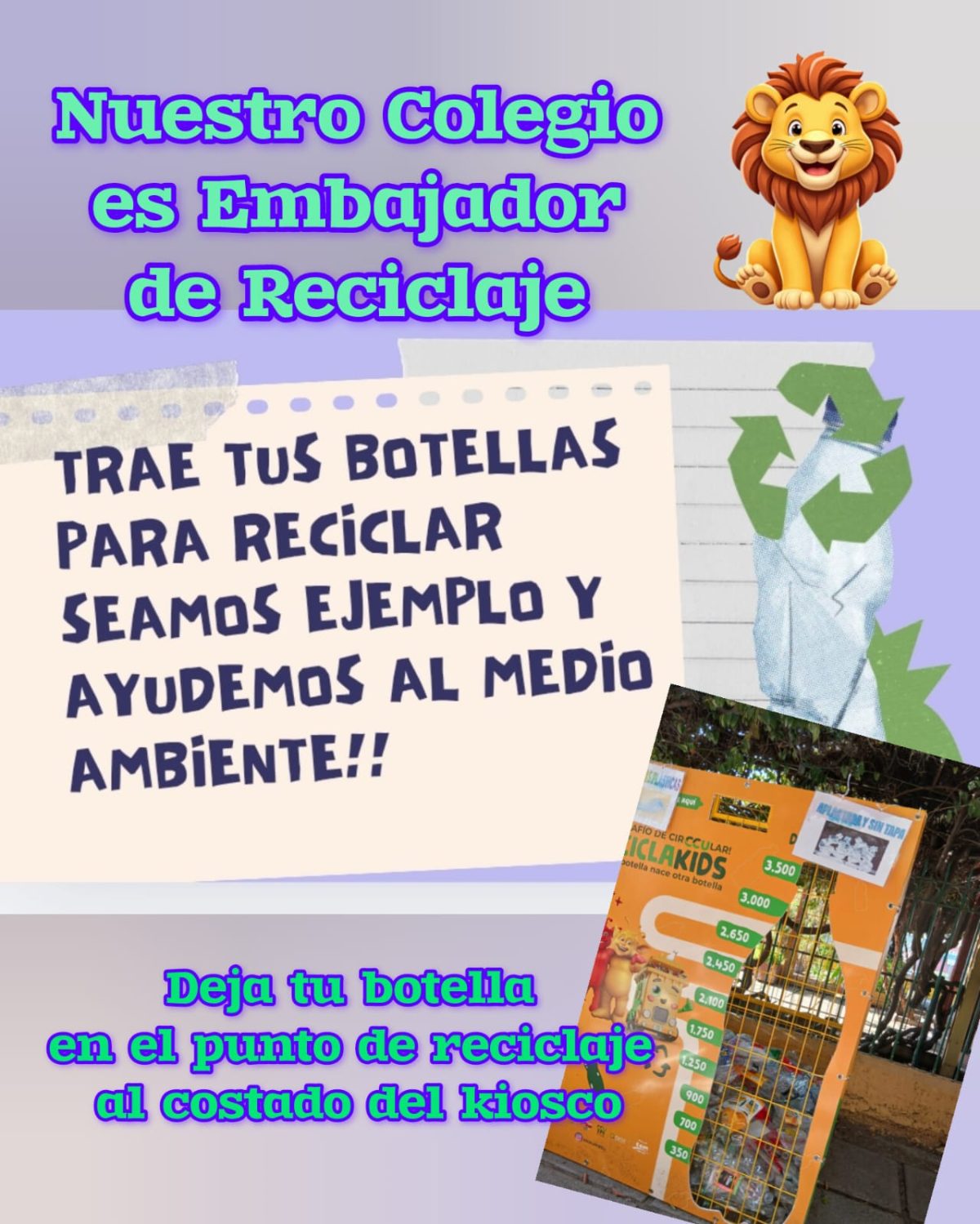 ¡Recicla y Ayuda al Medio Ambiente!